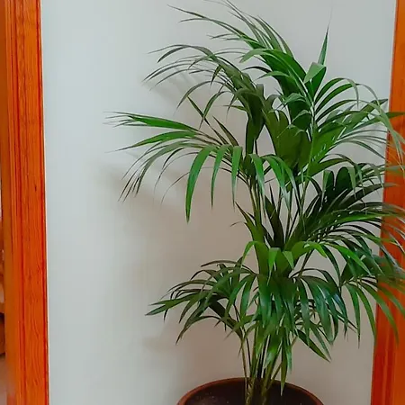Alizuth Villa Puerto del Carmen  Zewnętrze zdjęcie